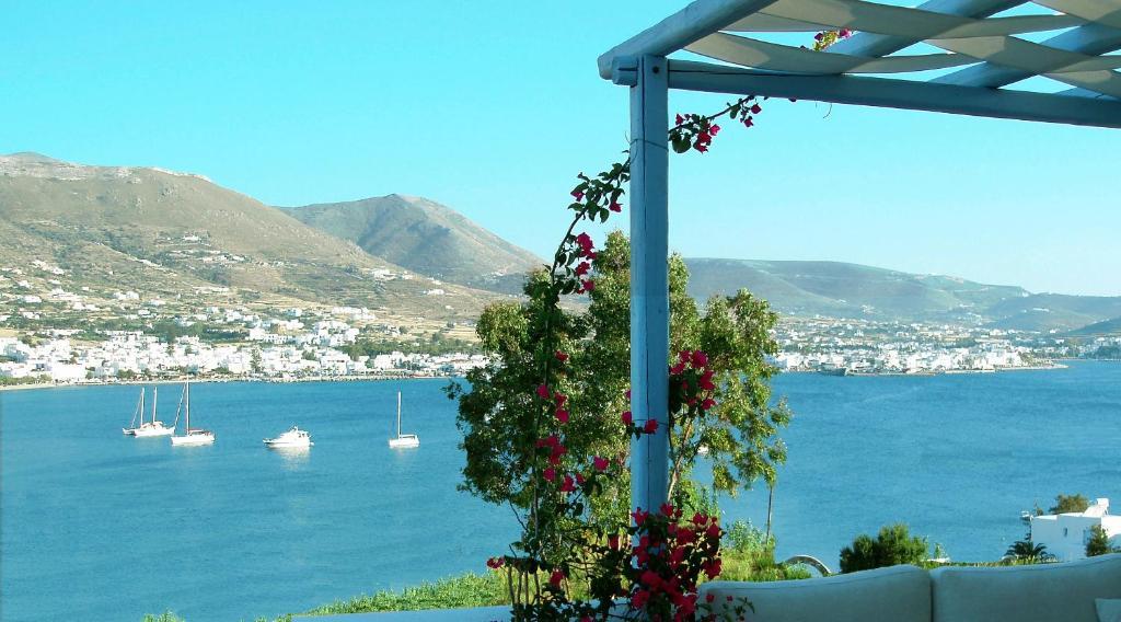 Paros Paradise Apartments Номер фото